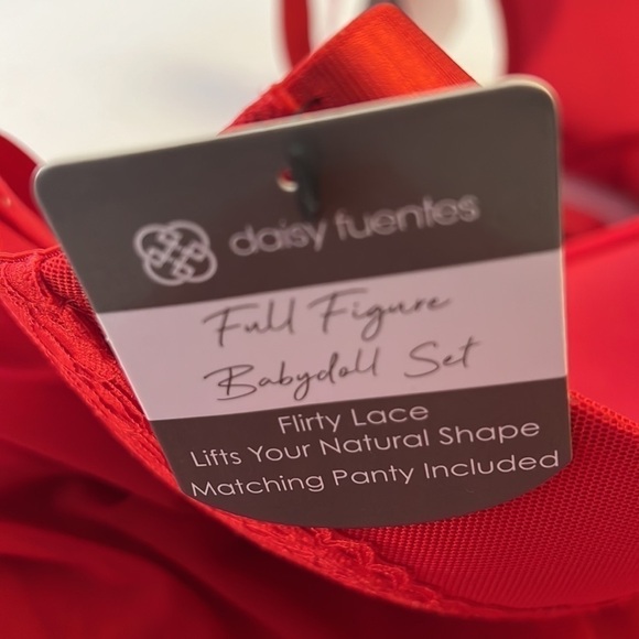 Daisy Fuentes Intimates Lace Baby Doll negligée thong Push Up Bra - Picture 7 of 11